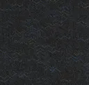 Varicolor