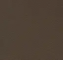 Olive Brown