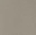 Silvergrey