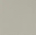 Ashgrey