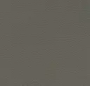Slategrey