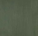 Algae