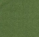 Putting Green