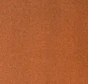 Ginger