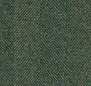 Spruce