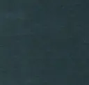 Tempo Teal
