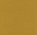 Wingtip Gold