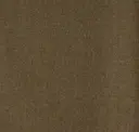 Flax