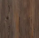 Paradigm