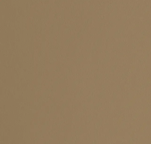 Main