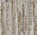 Aspen Pine