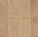 Eucalipto