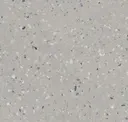 Arctic