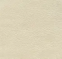 Polar