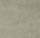 Lightgrey