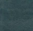 Sea Blue