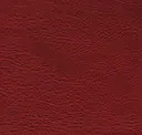 Carmine