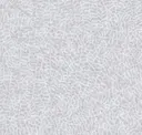 Birch