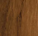 Eastern Pecan
