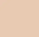 Beige Chenise