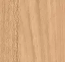 Teak Asia