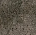 Pietrogrado