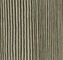 Artic Pine