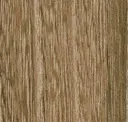 Colony