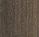 Eucalipto