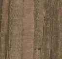 Old Wood