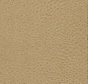 2809 Beige