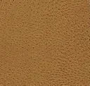 3283 Gold
