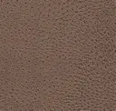 4731 Brown Beige