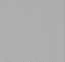 213 Grey