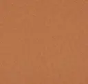 4737 Brown