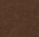 4681 Sienna Vinyl