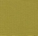 508 Steppe