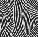 703 Zebra
