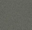 Dark Warm Grey