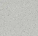 Light Pure Grey