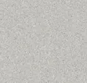 Light Warm Grey