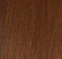 Arabica