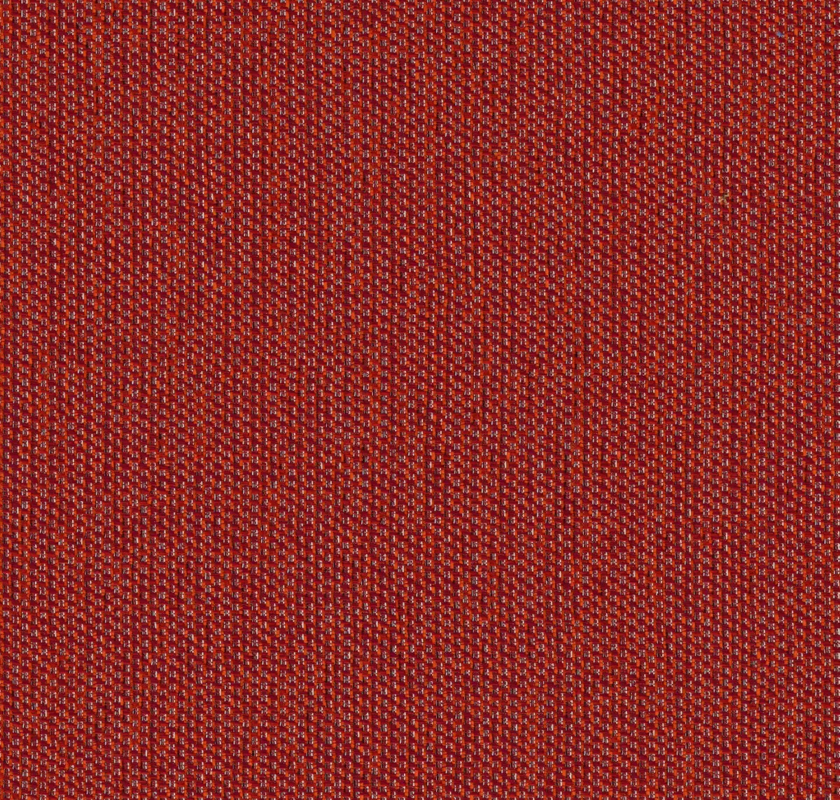 Main