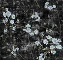 Black Blue