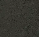 2800 Oliv