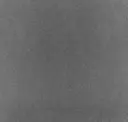 Coal