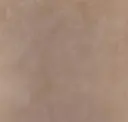 Clay